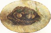 Vincent Van Gogh Basket of Sprouting Bulbs (nn04) oil painting reproduction